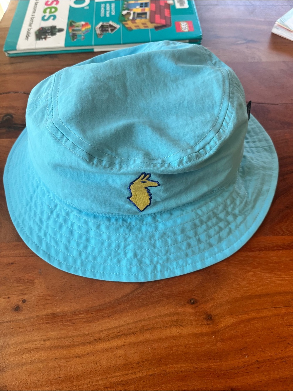 Blue Cotopaxi llama hat for preschooler